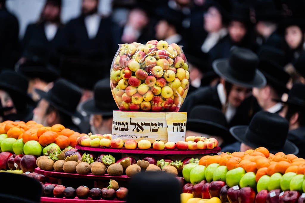 האדמו"ר מסאטמר בטיש ט"ו בשבט