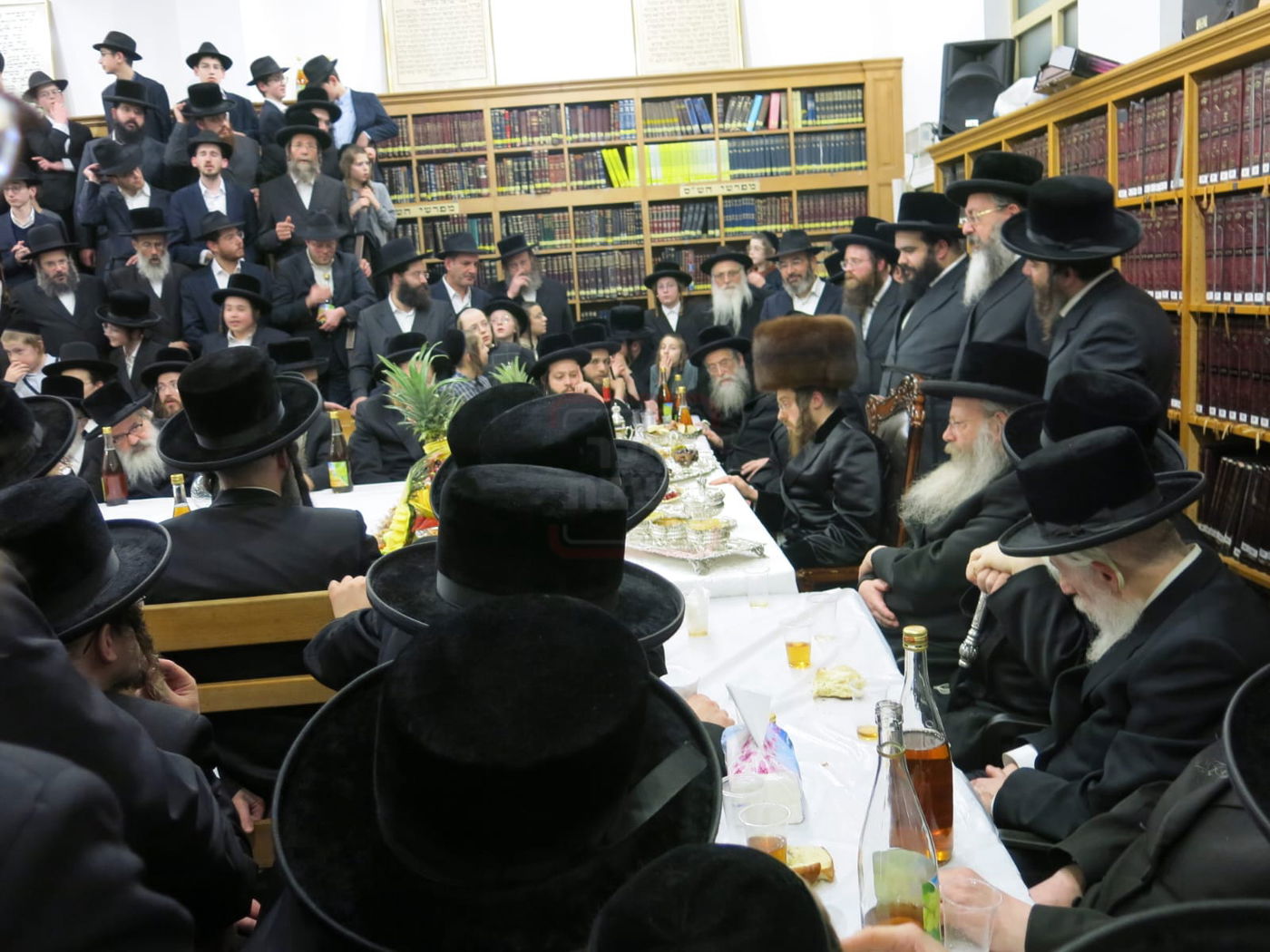 האדמו"ר מסאדיגורה בטיש ט"ו בשבט באנטווערפן