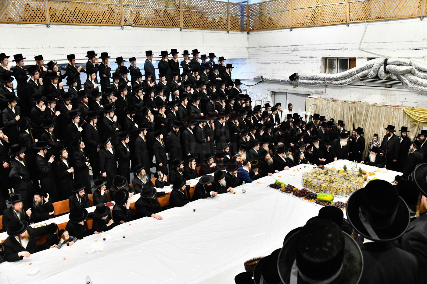 האדמו"ר ממחנובקא בעלזא בטיש ט"ו בשבט