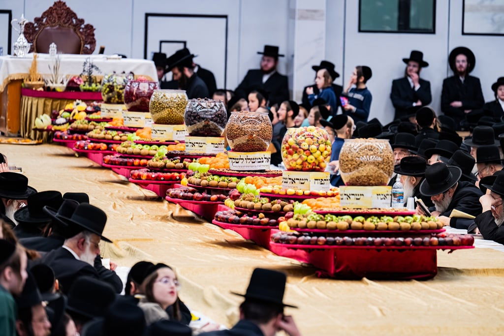 האדמו"ר מסאטמר בטיש ט"ו בשבט