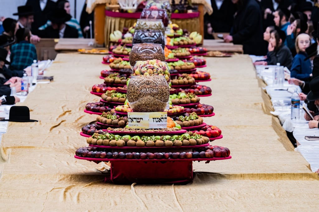 האדמו"ר מסאטמר בטיש ט"ו בשבט