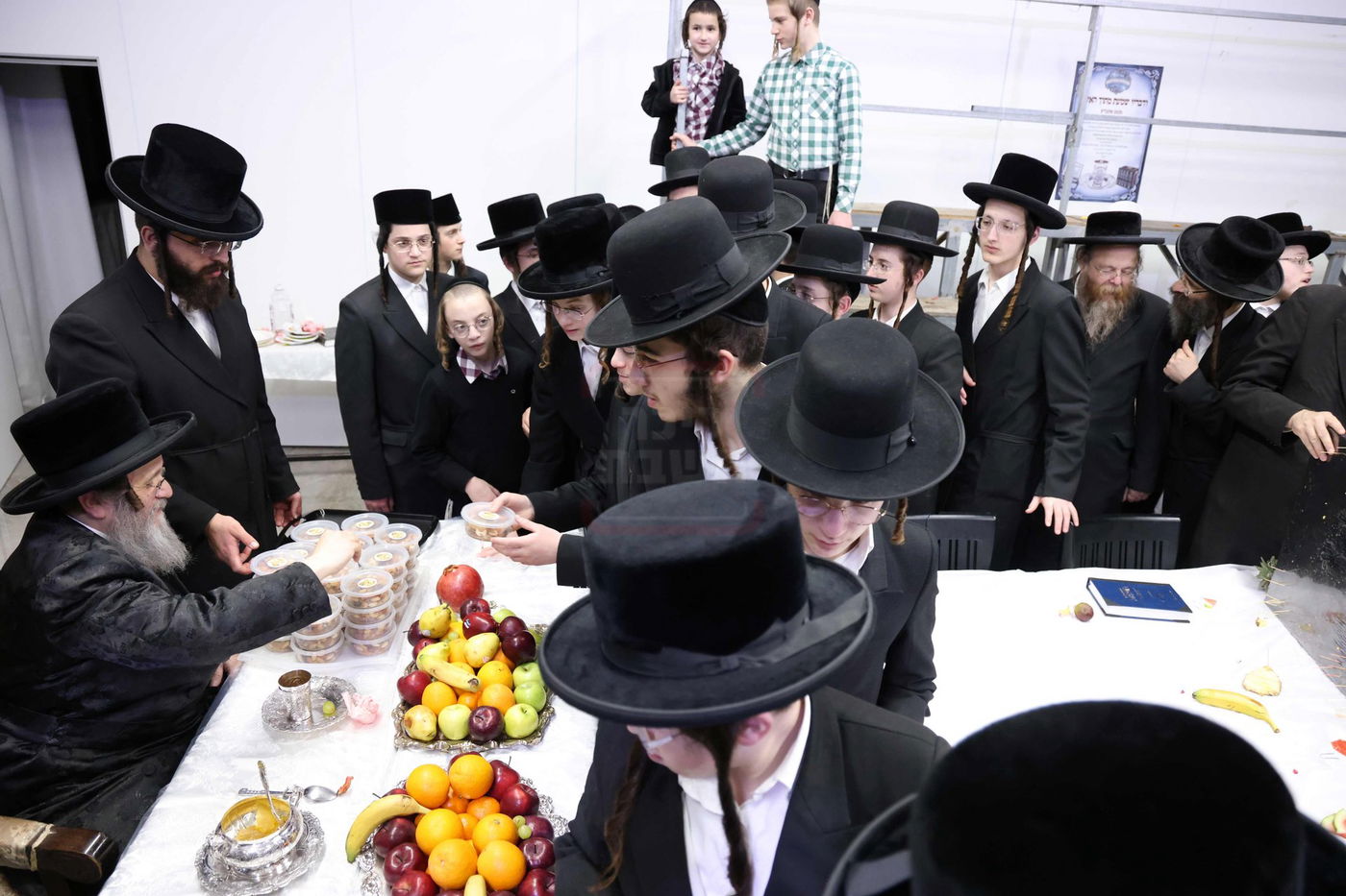 האדמו"ר מדינוב בטיש ט"ו בשבט