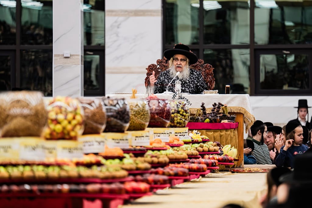 האדמו"ר מסאטמר בטיש ט"ו בשבט