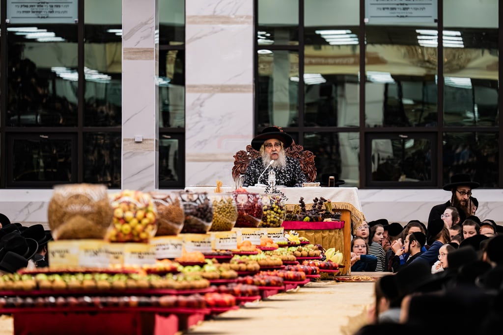 האדמו"ר מסאטמר בטיש ט"ו בשבט