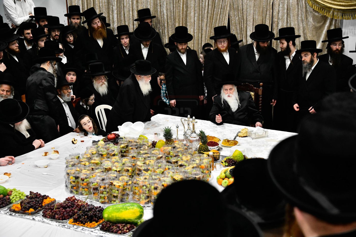 האדמו"ר ממחנובקא בעלזא בטיש ט"ו בשבט