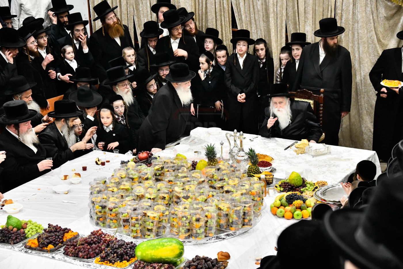 האדמו"ר ממחנובקא בעלזא בטיש ט"ו בשבט