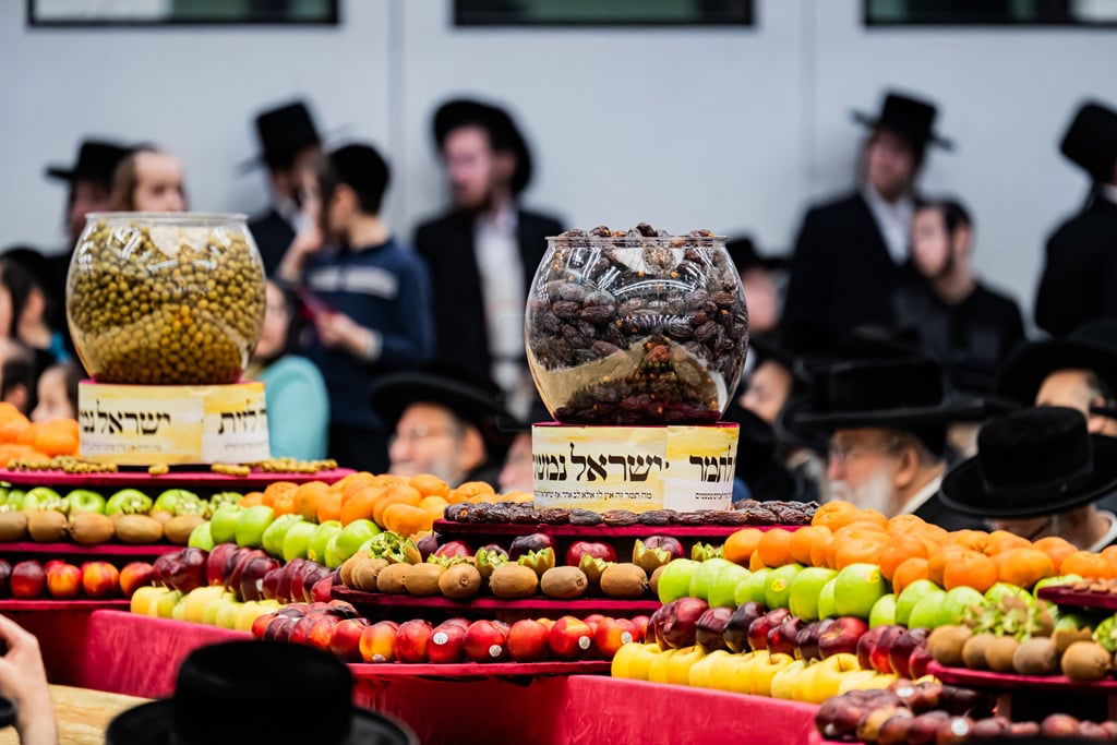 האדמו"ר מסאטמר בטיש ט"ו בשבט