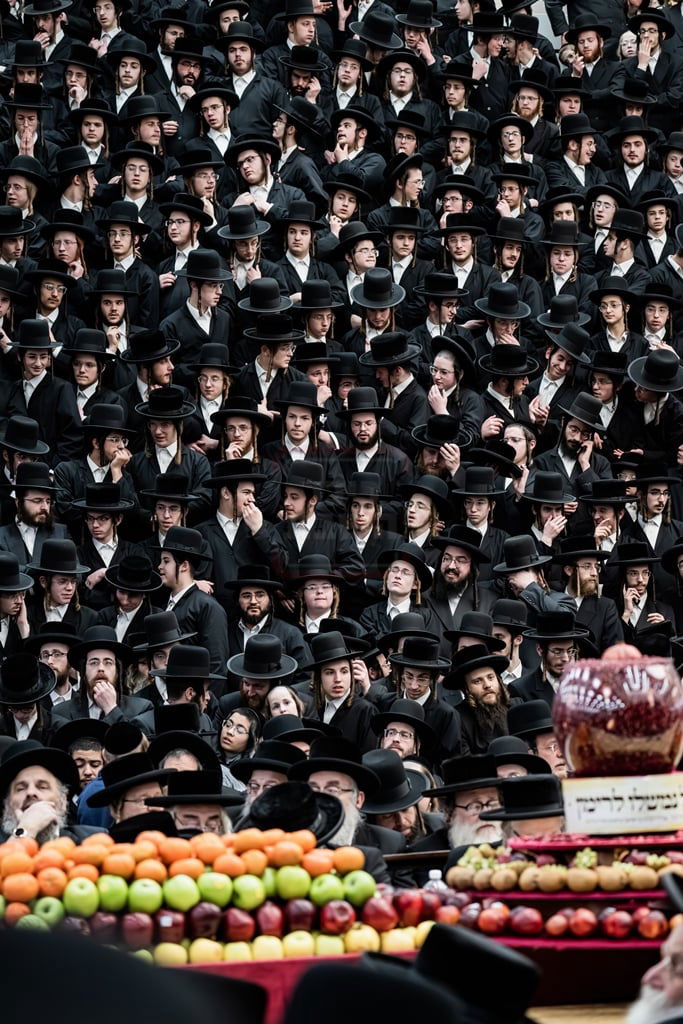 האדמו"ר מסאטמר בטיש ט"ו בשבט