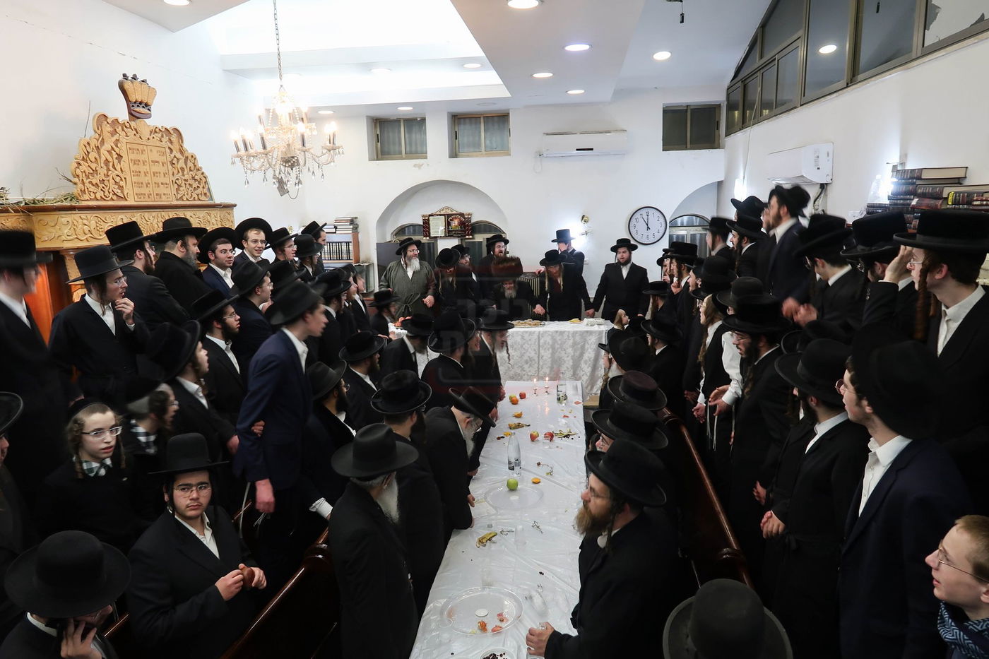 ט"ו בשבט בחצה"ק קרעטשניף סיגעט