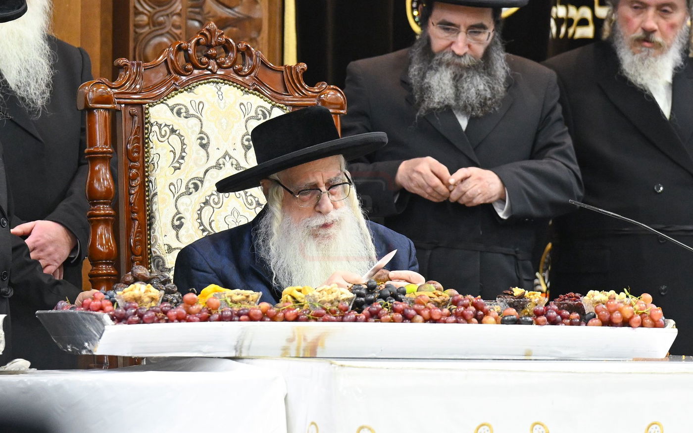 ט"ו בשבט בחצה"ק צאנז