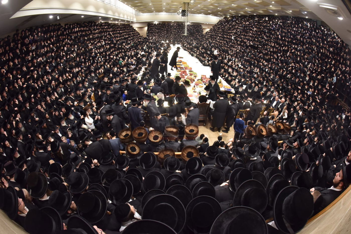 האדמו"ר מבעלזא בטיש ט"ו בשבט 