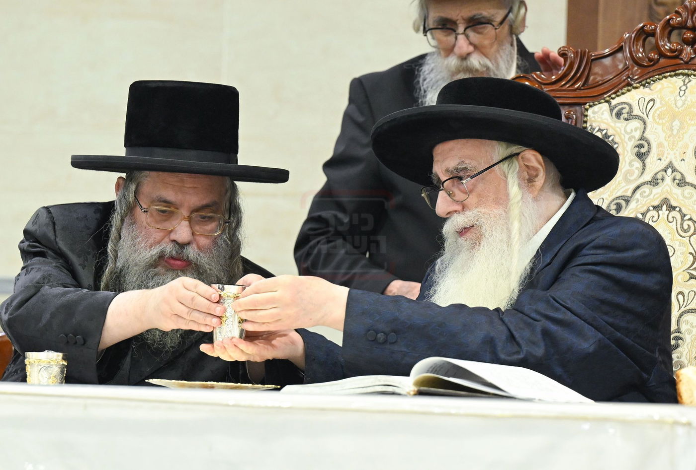 ט"ו בשבט בחצה"ק צאנז