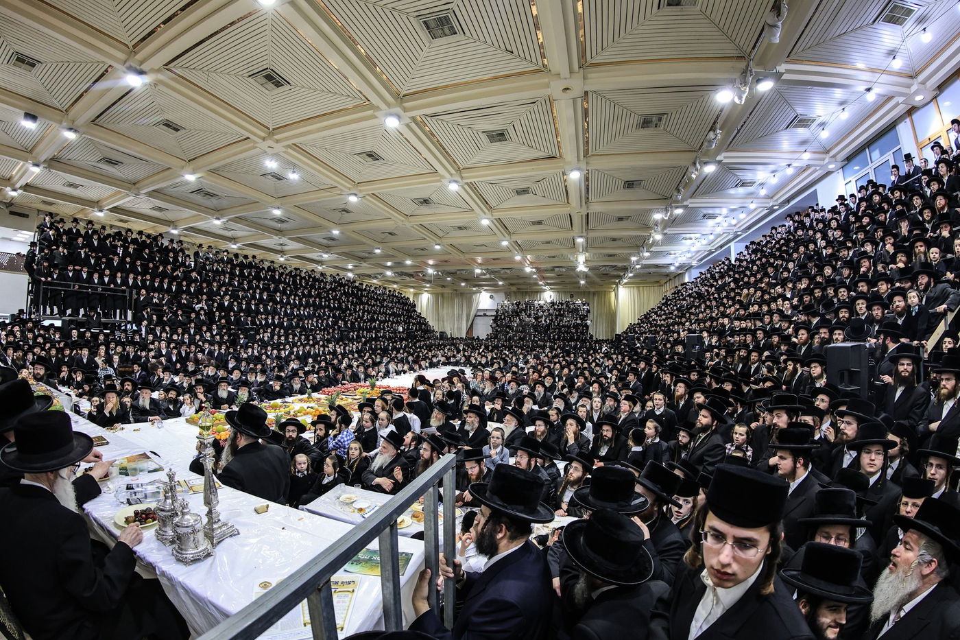 ט"ו בשבט בחצה"ק צאנז