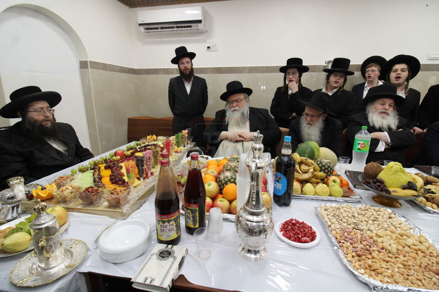 ט"ו בשבט בחצה"ק צאנז ז'ימגראד