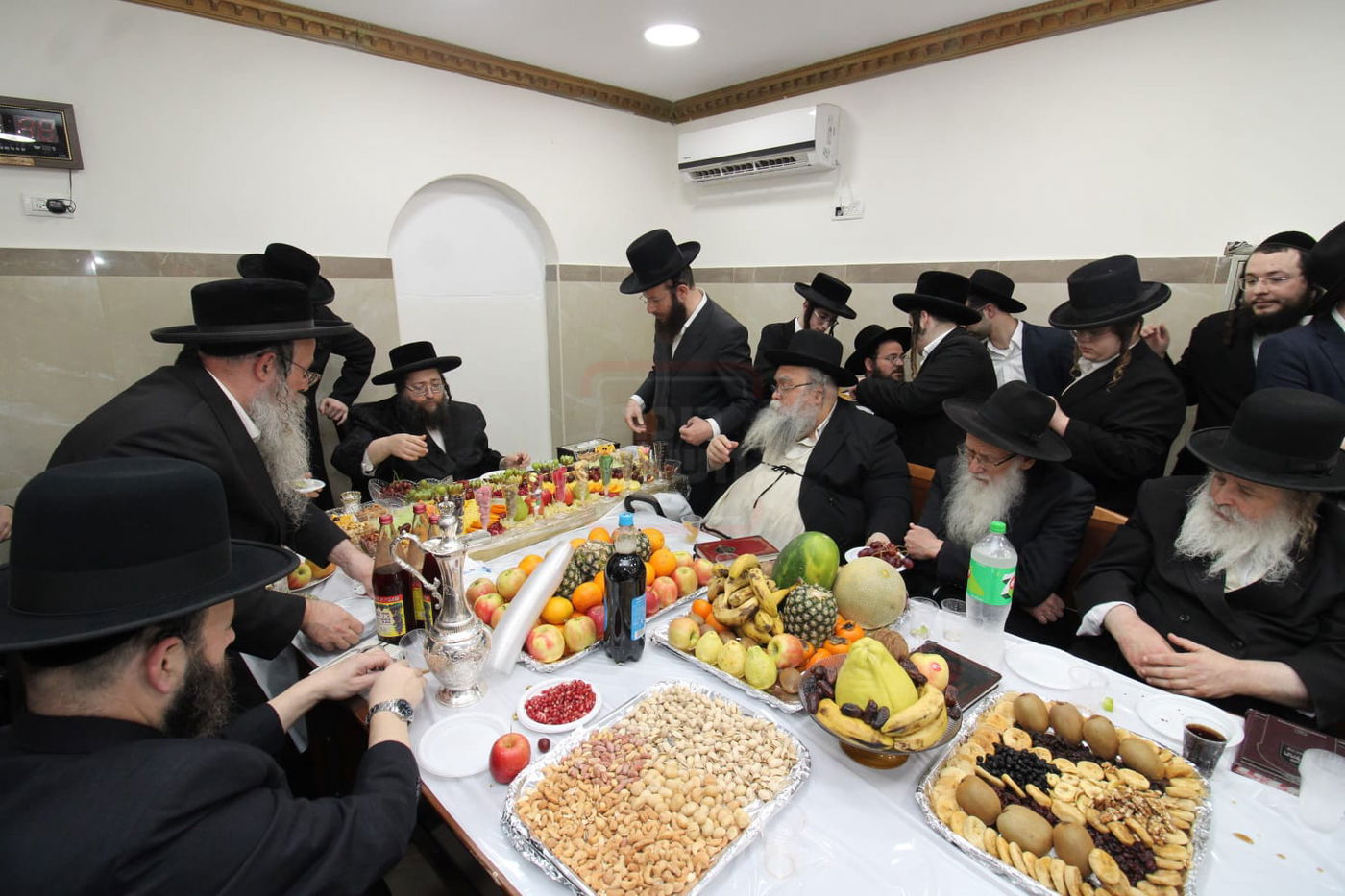 ט"ו בשבט בחצה"ק צאנז ז'ימגראד