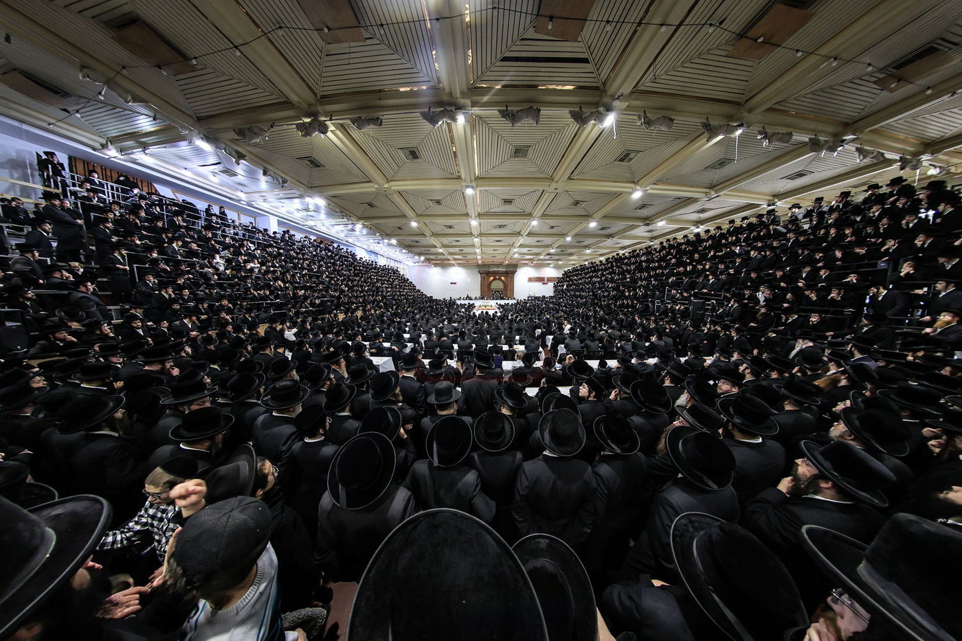 ט"ו בשבט בחצה"ק צאנז