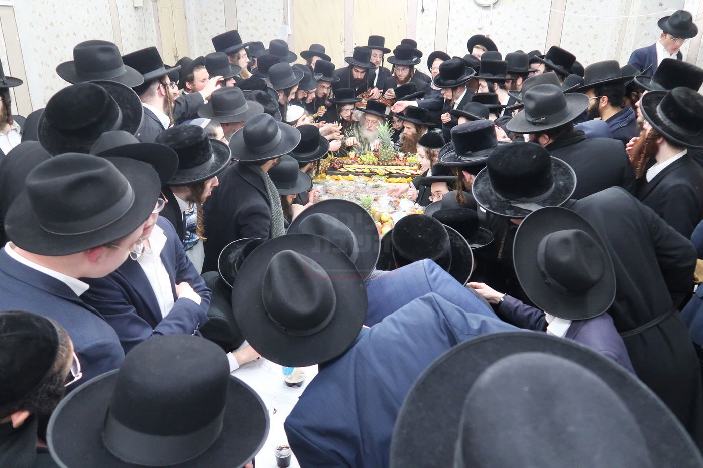 ט"ו בשבט במבקשי אמונה