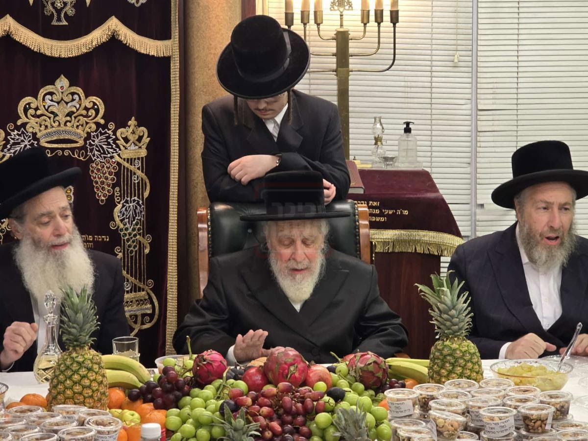 ט"ו בשבט בחצה"ק ליסקא