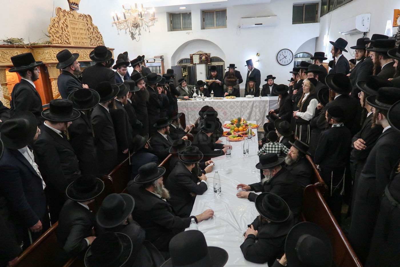 ט"ו בשבט בחצה"ק קרעטשניף סיגעט