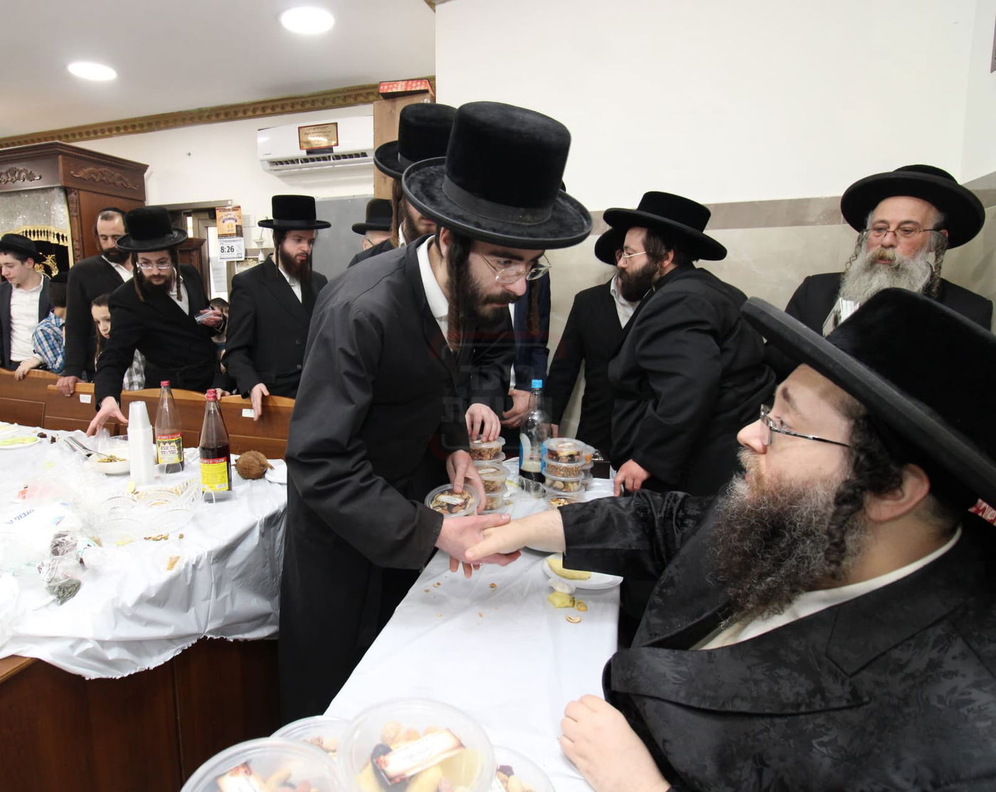 ט"ו בשבט בחצה"ק צאנז ז'ימגראד