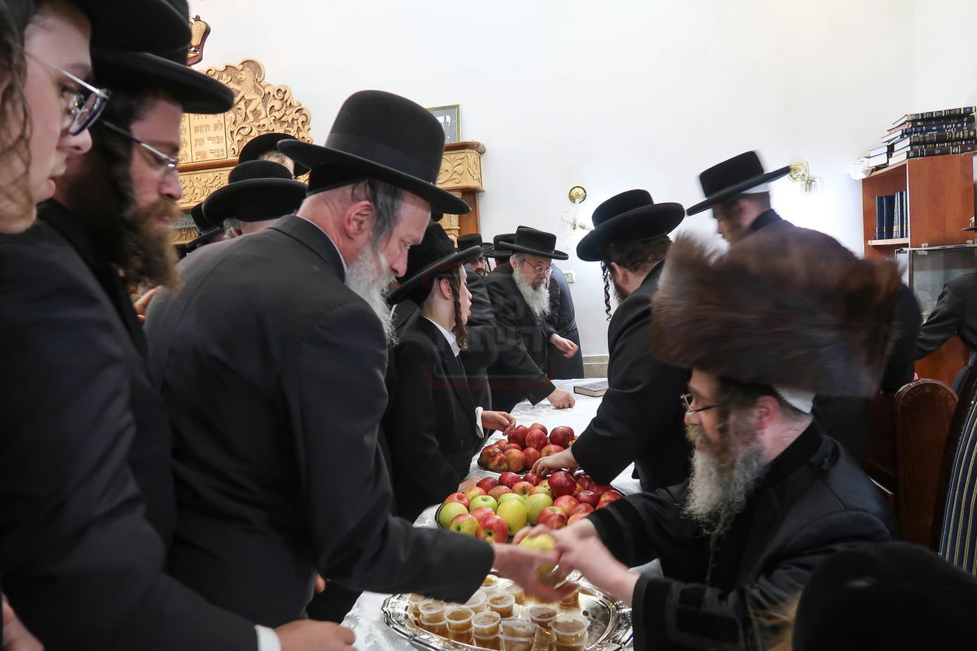 ט"ו בשבט בחצה"ק קרעטשניף סיגעט