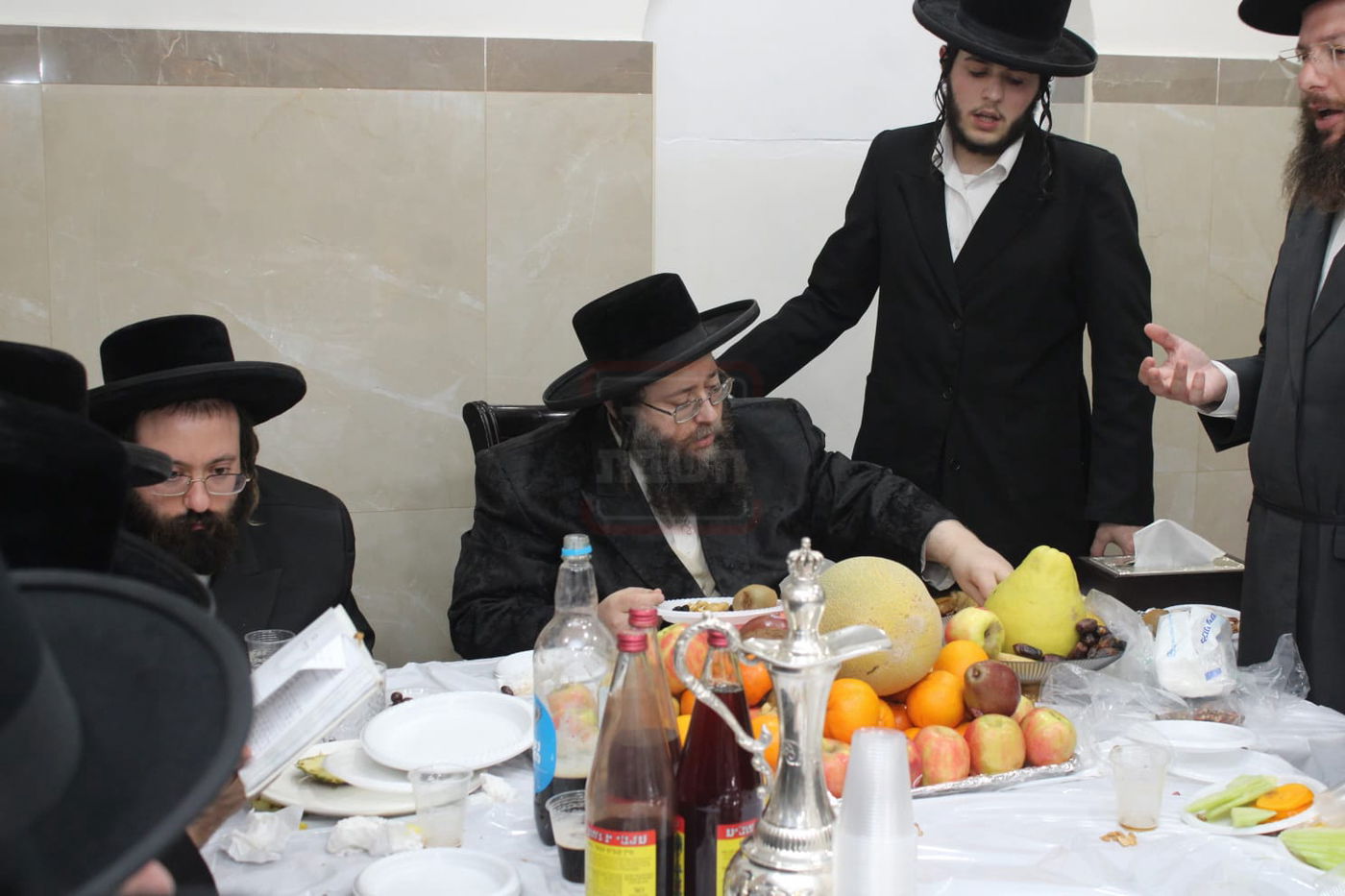 ט"ו בשבט בחצה"ק צאנז ז'ימגראד