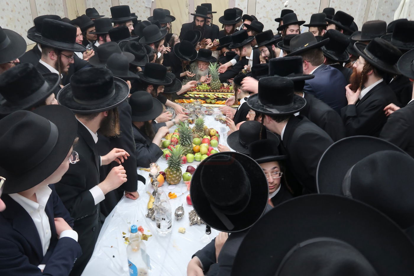 ט"ו בשבט במבקשי אמונה