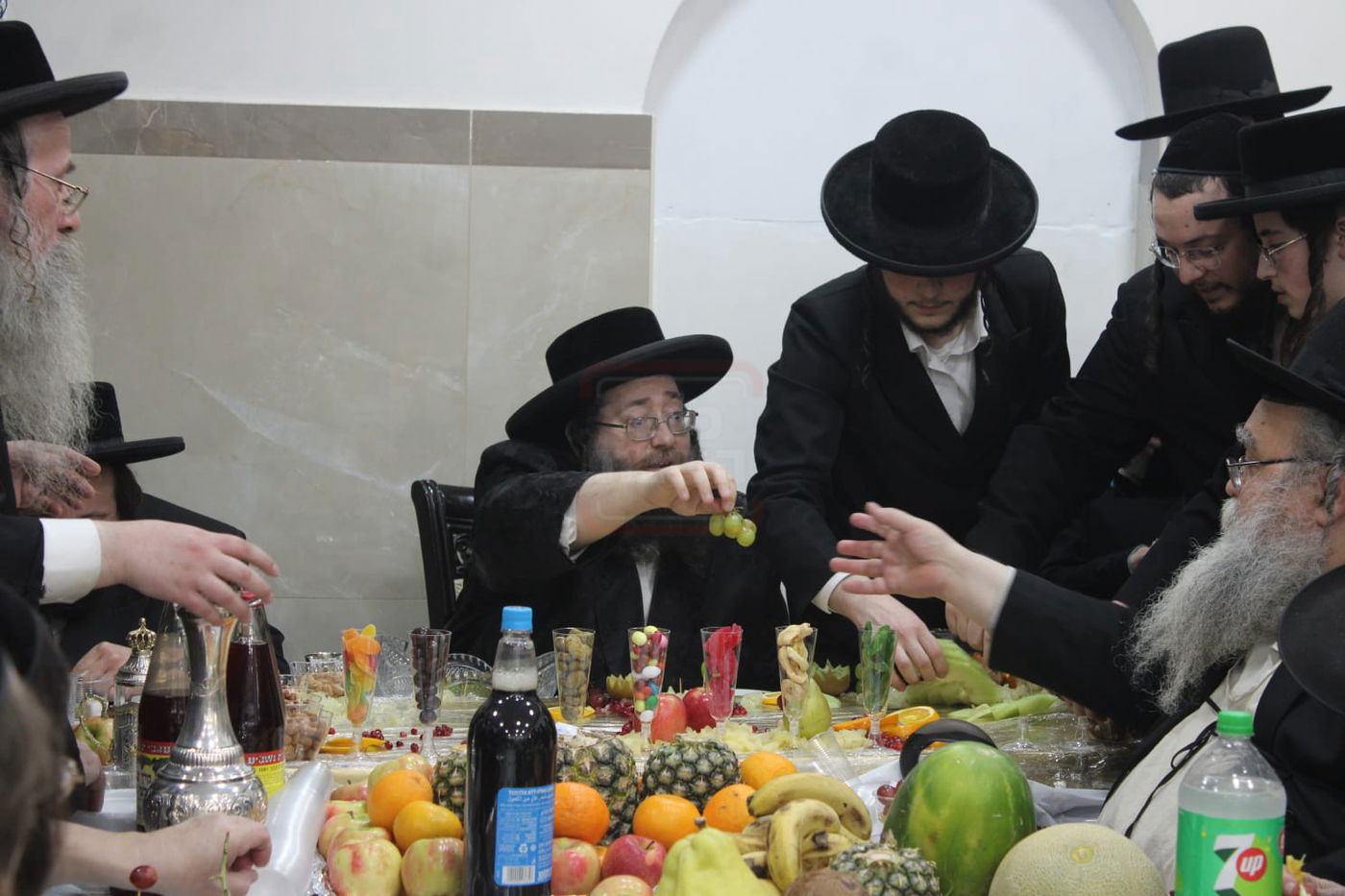 ט"ו בשבט בחצה"ק צאנז ז'ימגראד