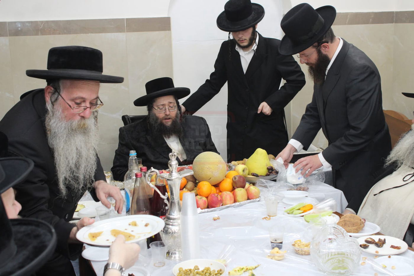 ט"ו בשבט בחצה"ק צאנז ז'ימגראד