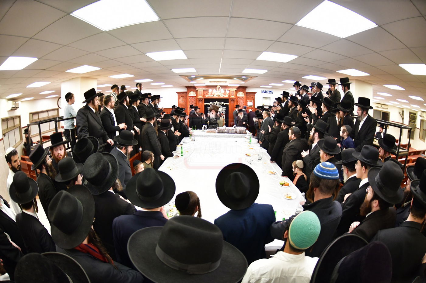 ט"ו בשבט בחצה"ק קרעטשניף קריית גת