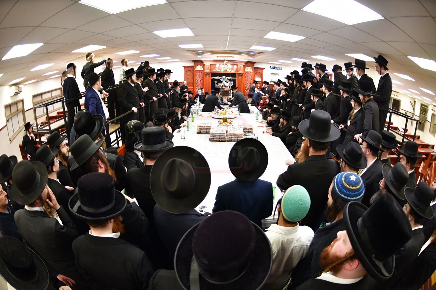 ט"ו בשבט בחצה"ק קרעטשניף קריית גת