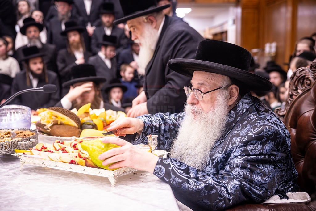 חמשה עשר בשבט בחצר הקודש צאנז קלויזענבורג