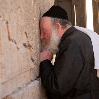 מראות חיי האדמו"ר המהרי"ד מלעלוב זי"ע