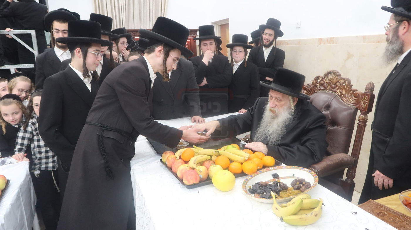 ט"ו בשבט בחצה"ק טשארנאביל 