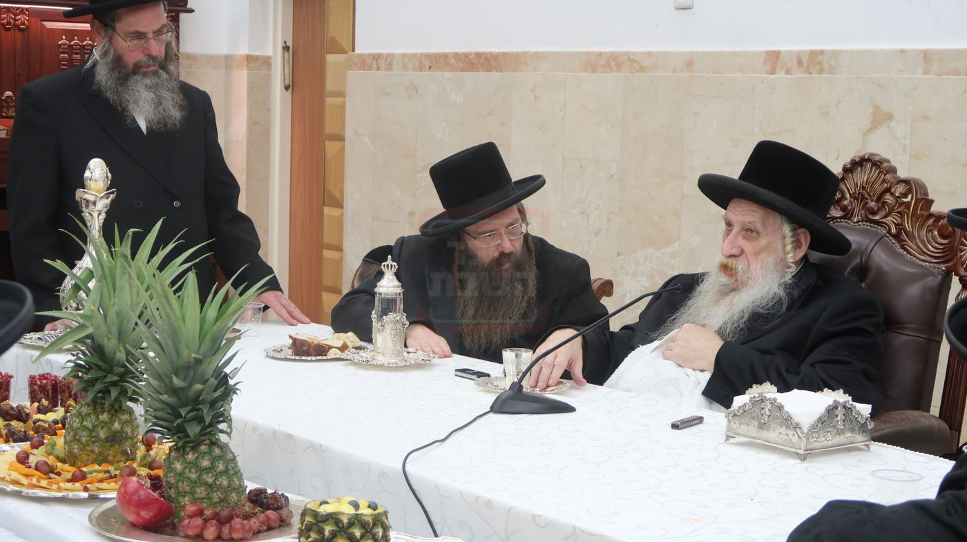 ט"ו בשבט בחצה"ק טשארנאביל 