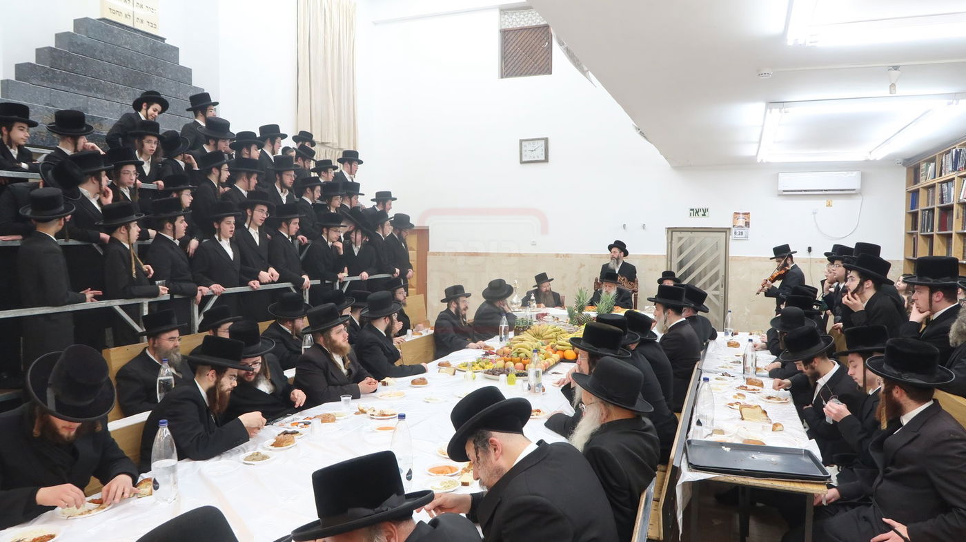 ט"ו בשבט בחצה"ק טשארנאביל 