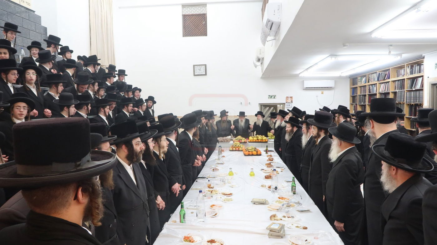 ט"ו בשבט בחצה"ק טשארנאביל 