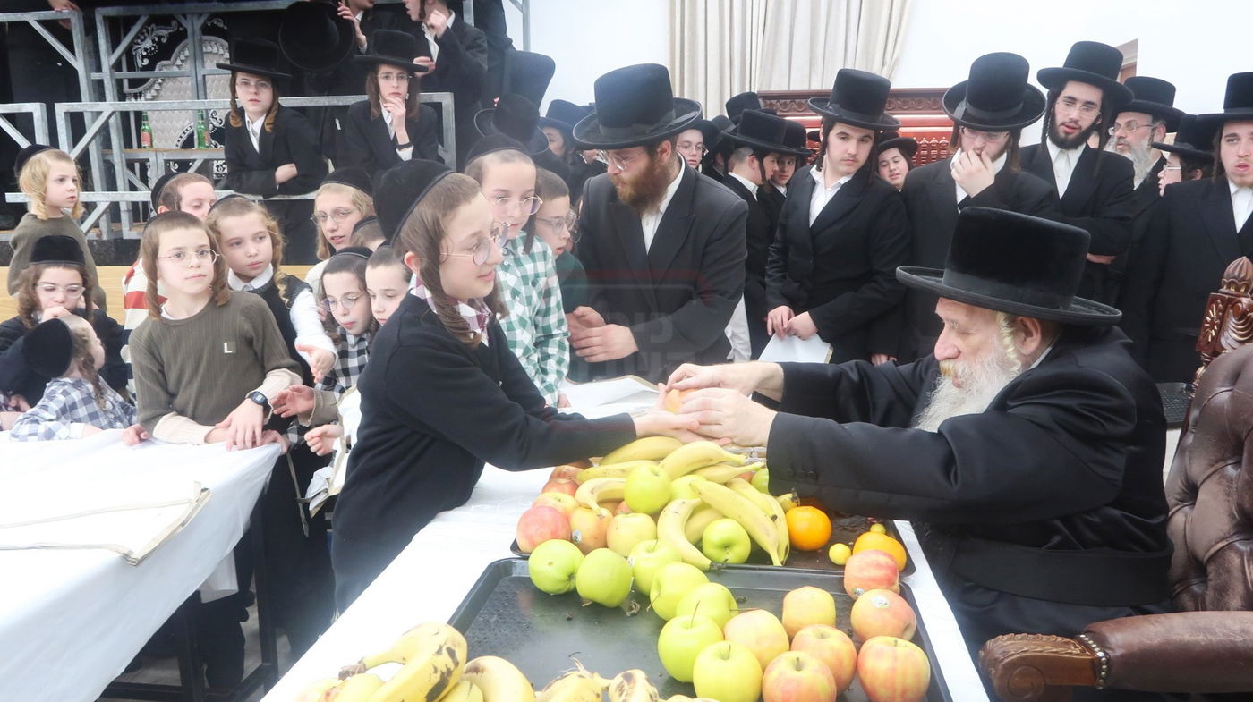 ט"ו בשבט בחצה"ק טשארנאביל 