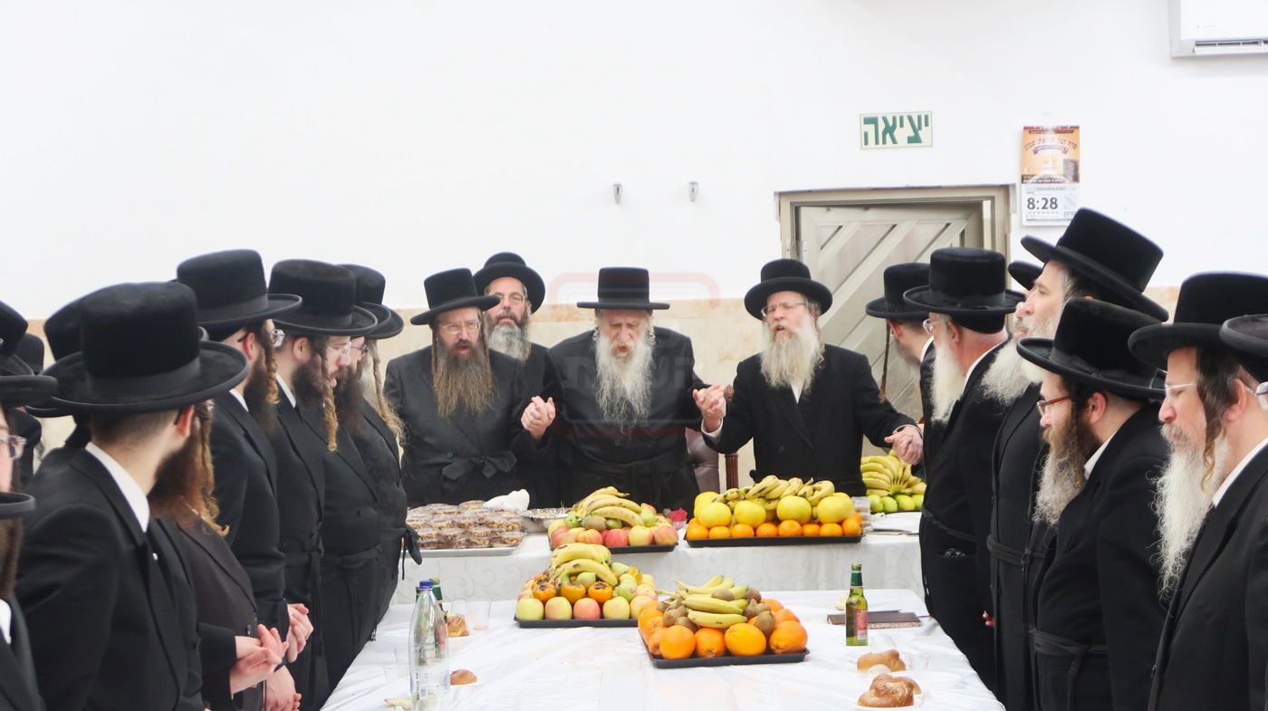 ט"ו בשבט בחצה"ק טשארנאביל 