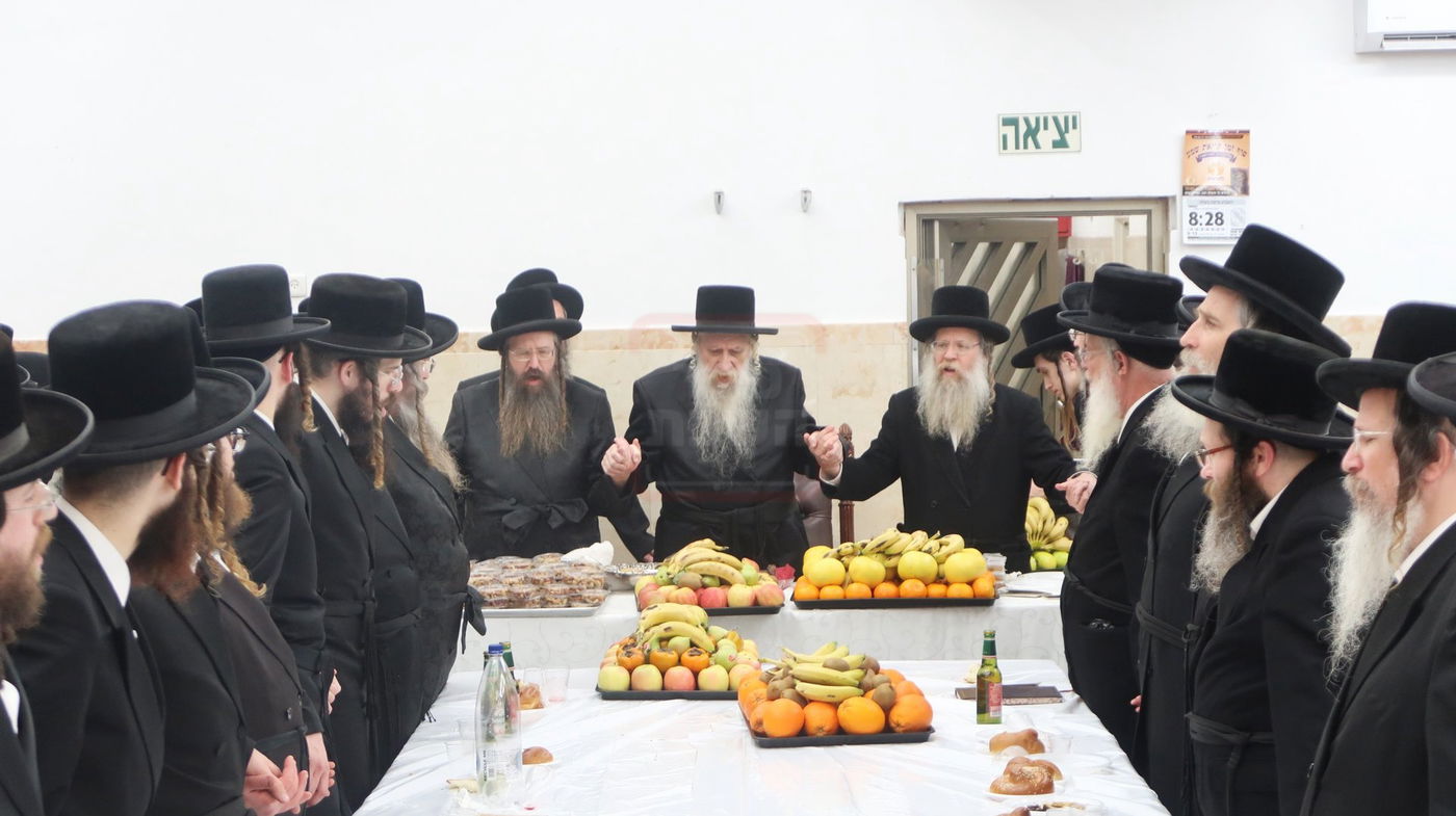 ט"ו בשבט בחצה"ק טשארנאביל 