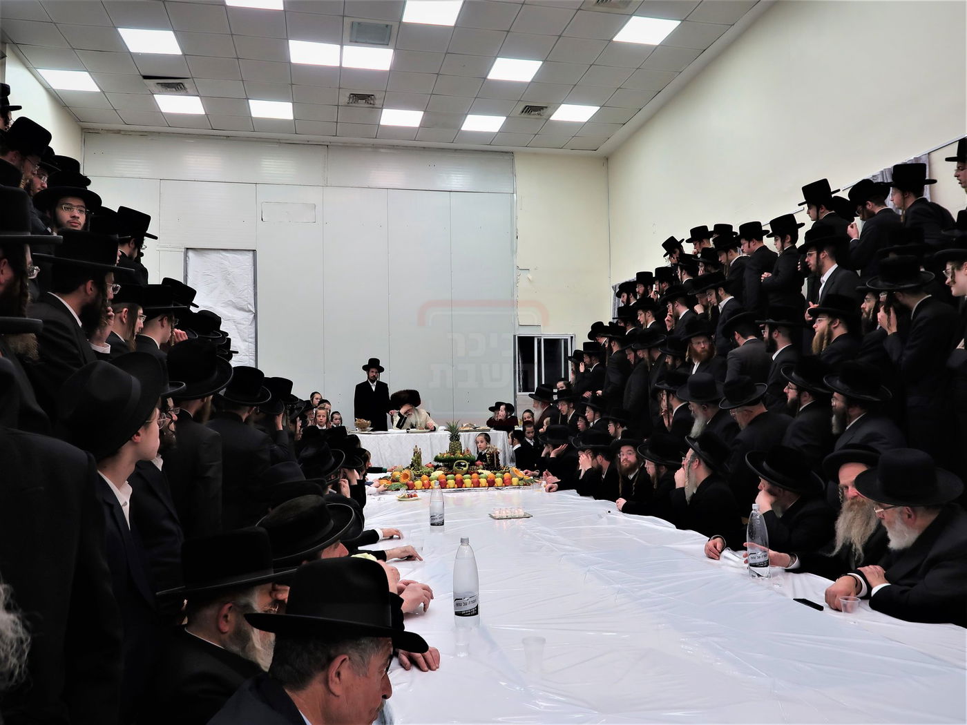 ט"ו בשבט בחצה"ק נדבורנה ירושלים