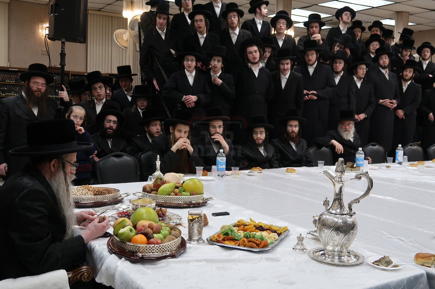 ט"ו בשבט בחצה"ק צאנז זוועהיל