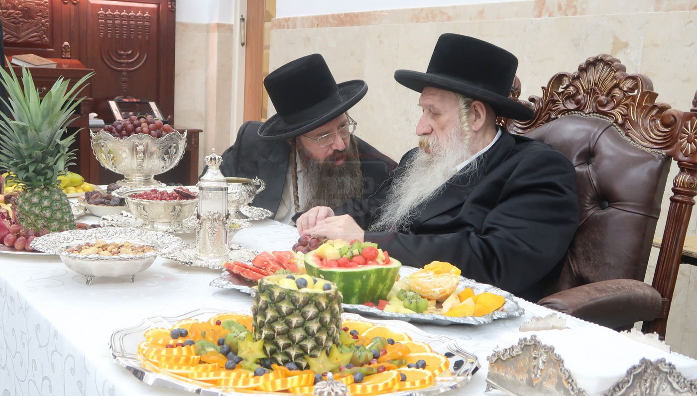 ט"ו בשבט בחצה"ק טשארנאביל 