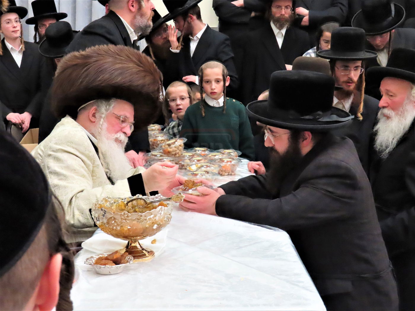 ט"ו בשבט בחצה"ק נדבורנה ירושלים