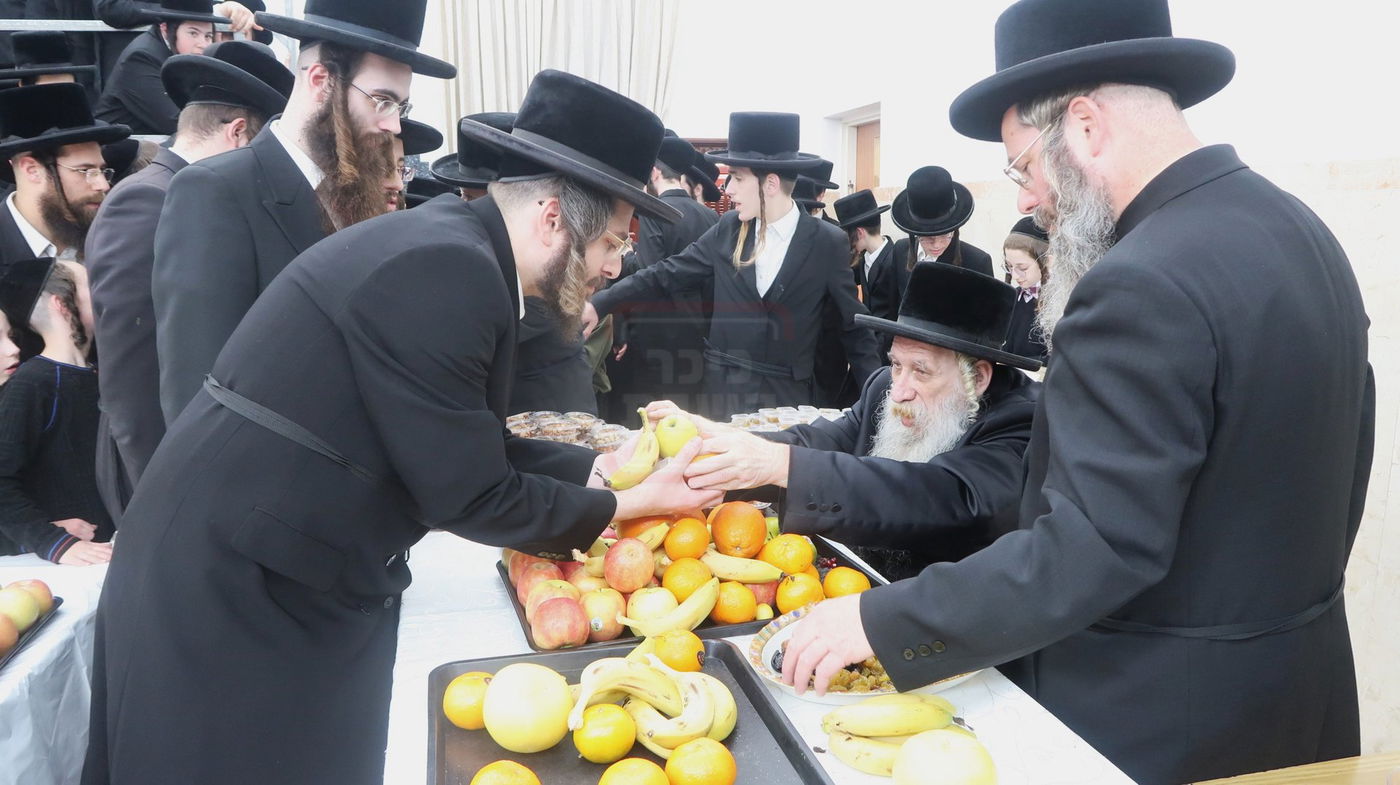 ט"ו בשבט בחצה"ק טשארנאביל 