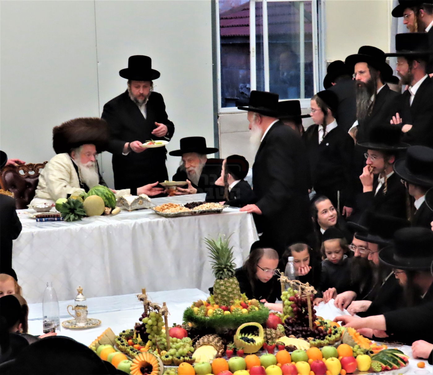 ט"ו בשבט בחצה"ק נדבורנה ירושלים