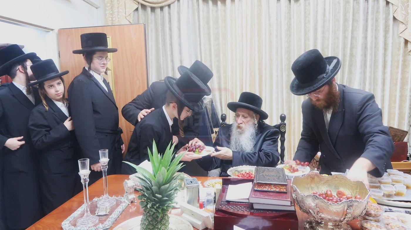 ט"ו בשבט בחצה"ק טשארנאביל 