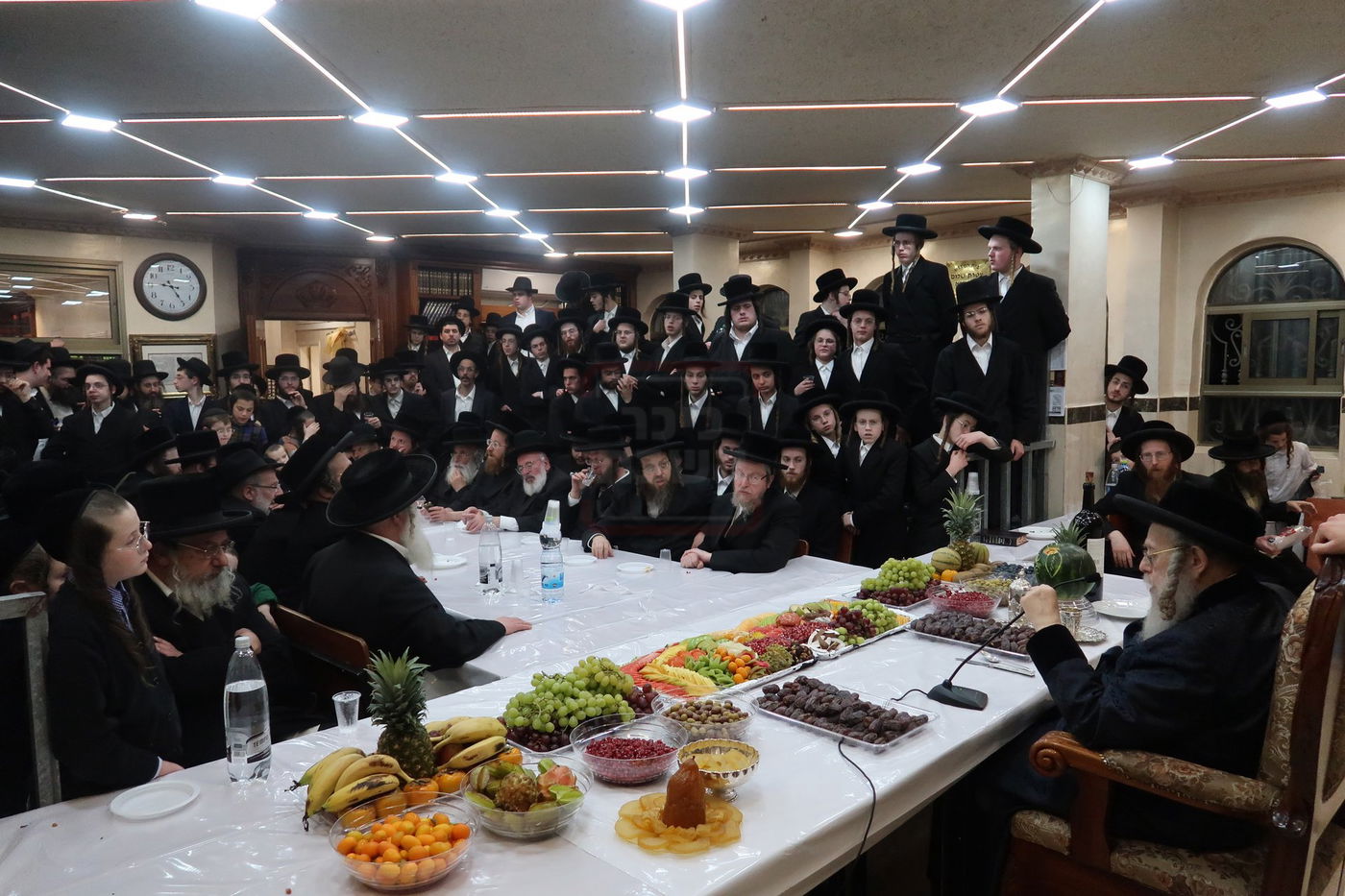 ט"ו בשבט בחצה"ק קומרנא