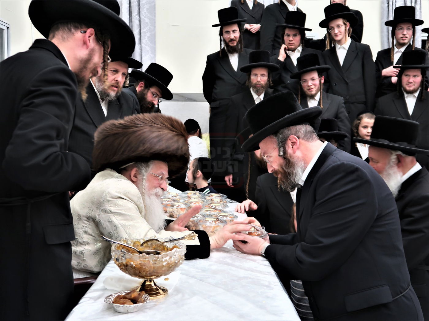 ט"ו בשבט בחצה"ק נדבורנה ירושלים