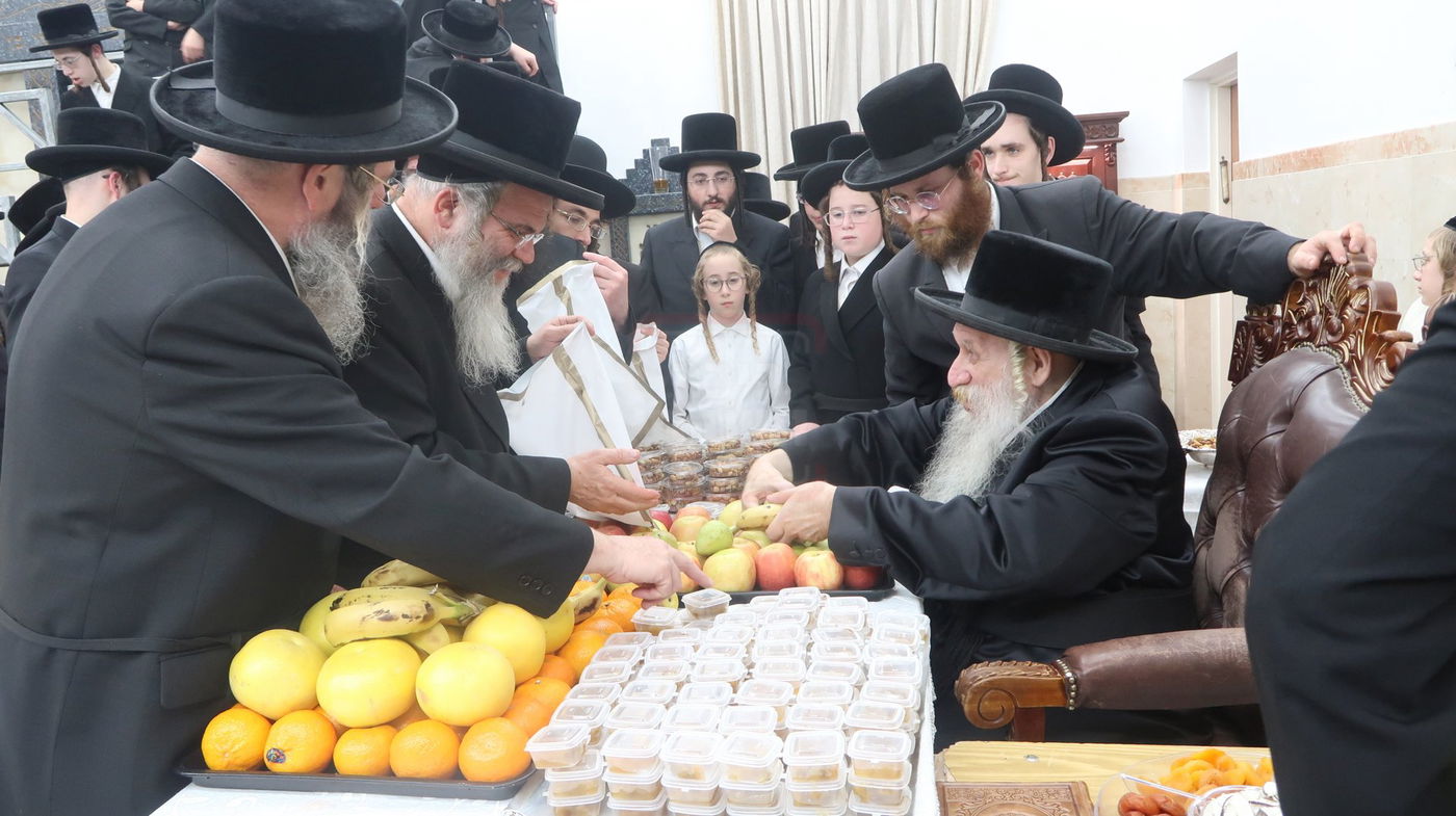 ט"ו בשבט בחצה"ק טשארנאביל 